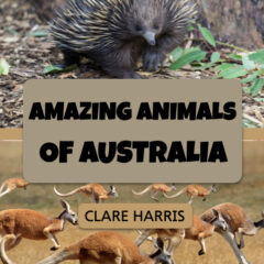 Cover of Amazing Animals of Australia: a Read about Australia ESL Easy Read from Clare Harris