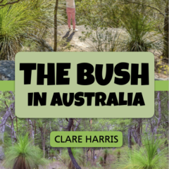 Cover of The Bush in Australia: a Read about Australia ESL Easy Read from Clare Harris